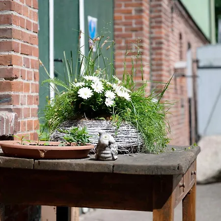 Junge 1 Apartment Lohe-Rickelshof